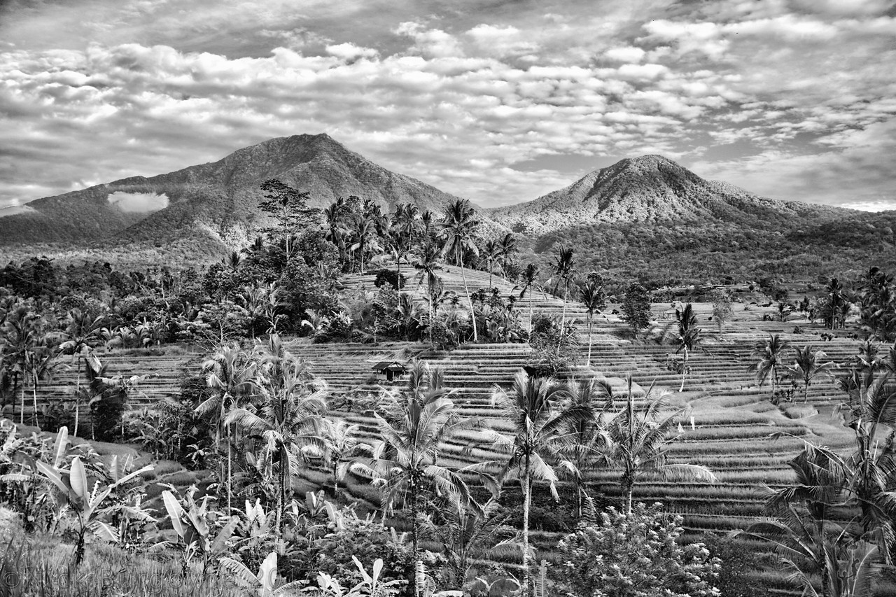 Timeless Photography Winner - Nick Burgoyne - Subak Water System in Jatiluwih