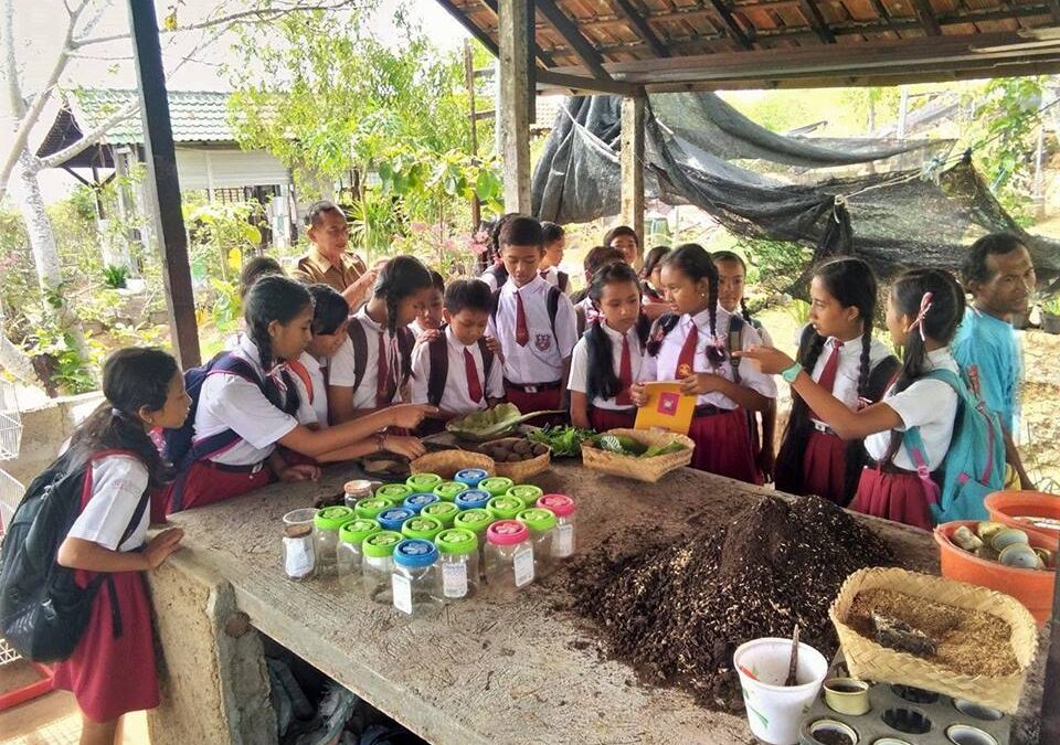 We Are Back! Bali Environmental Center Public School Program