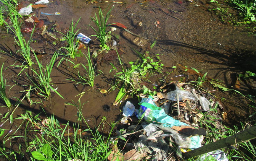 Subak Irrigation System and Plastics Pollution in North Bali