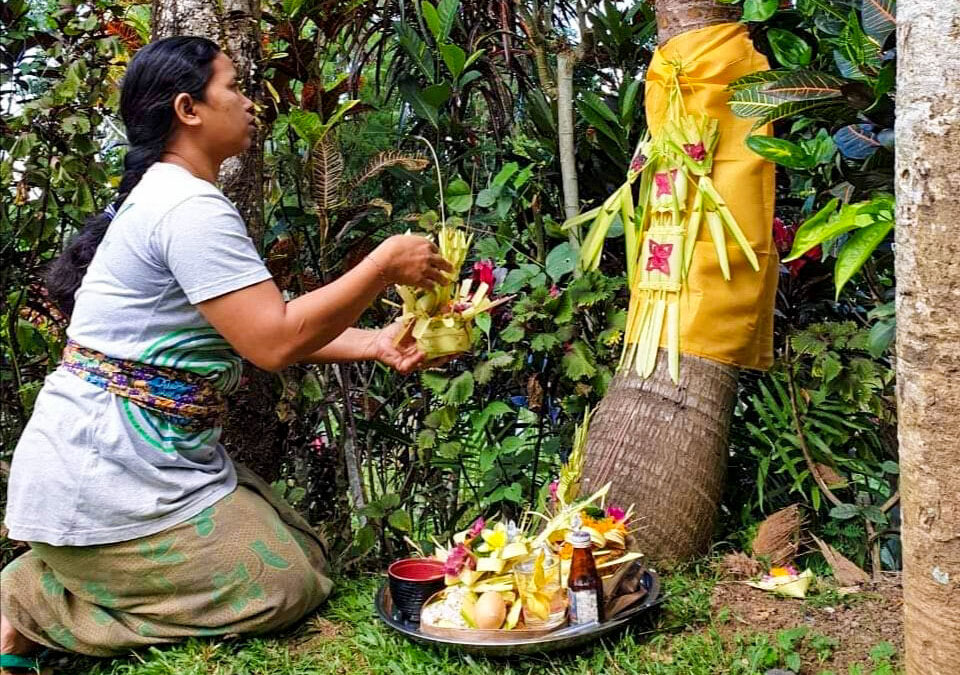 Valentine’s Day Blessing- Part of Balinese Tradition As The Manifestation of Love for Plants