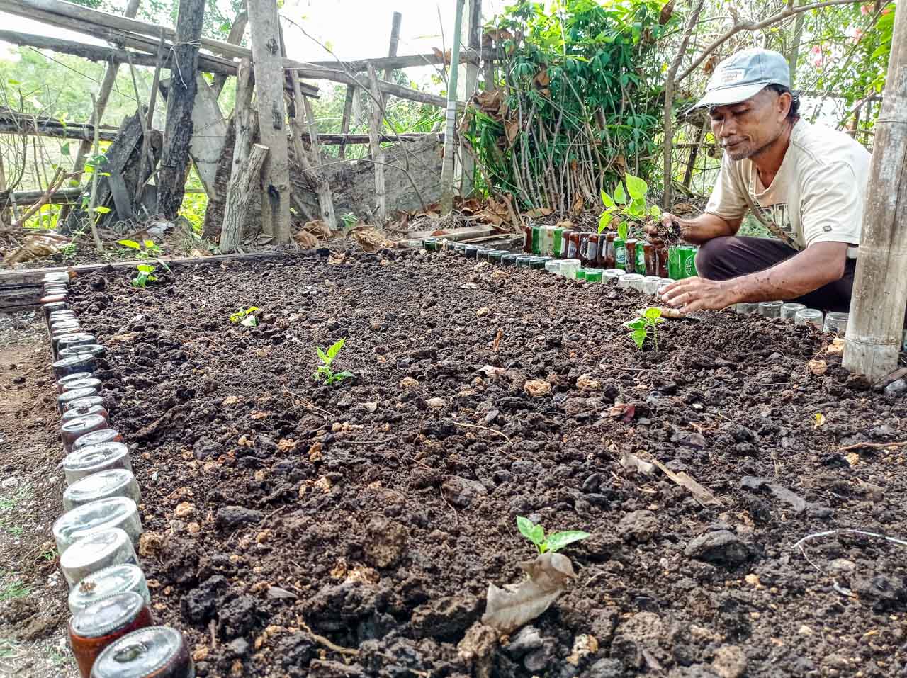 Permaculture Life