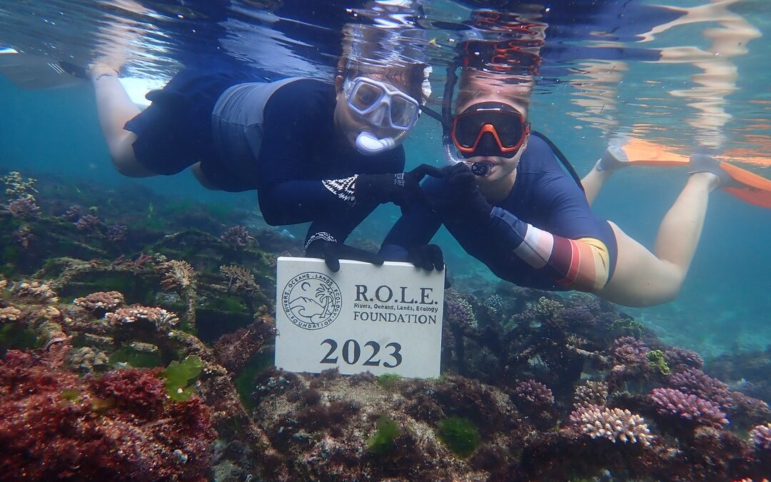 Preserving Paradise: A Year of Coral Restoration Efforts