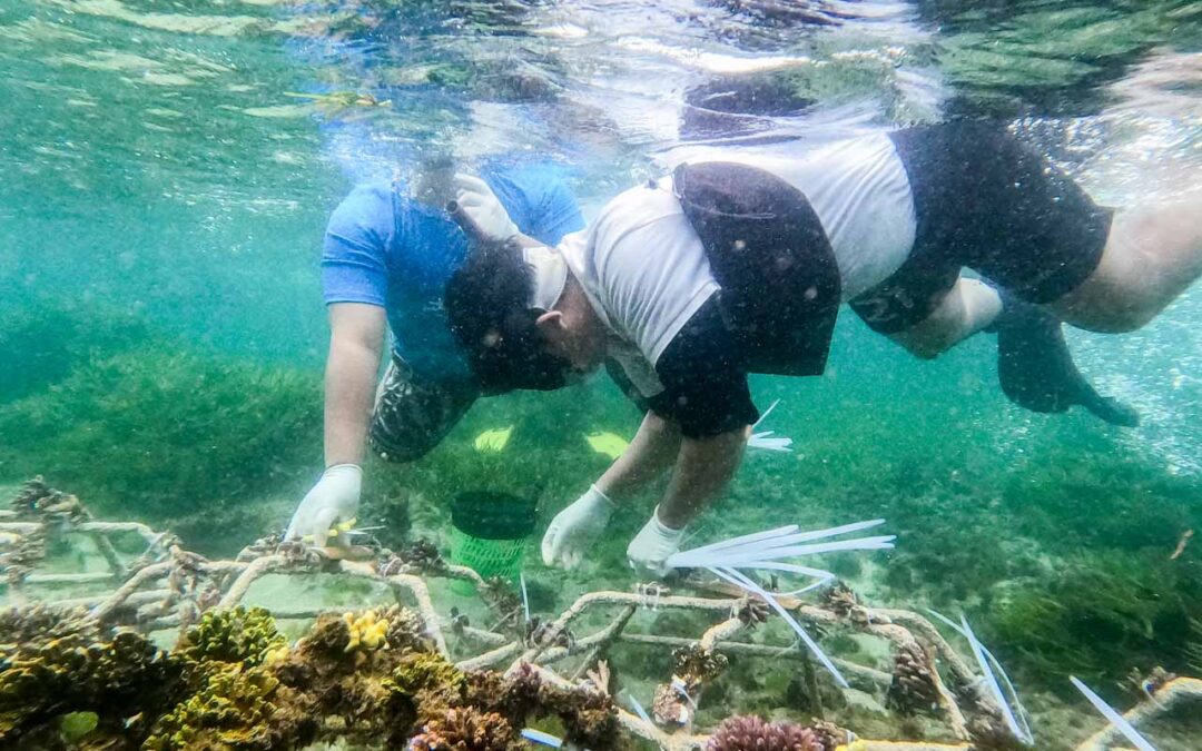 Celebrating Earth Day with Coral Restoration: A Collaborative Effort Sponsored by Australian Consulate-General Bali